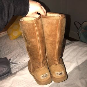 Tall chestnut uggs